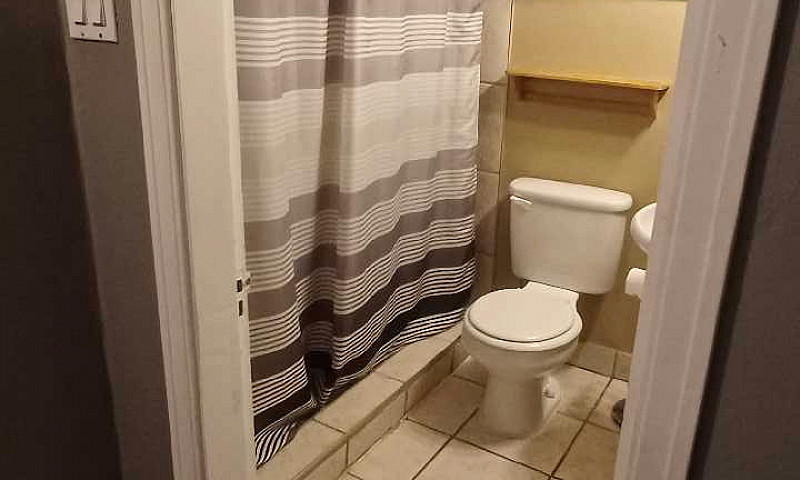 One Bedroom Basement...
