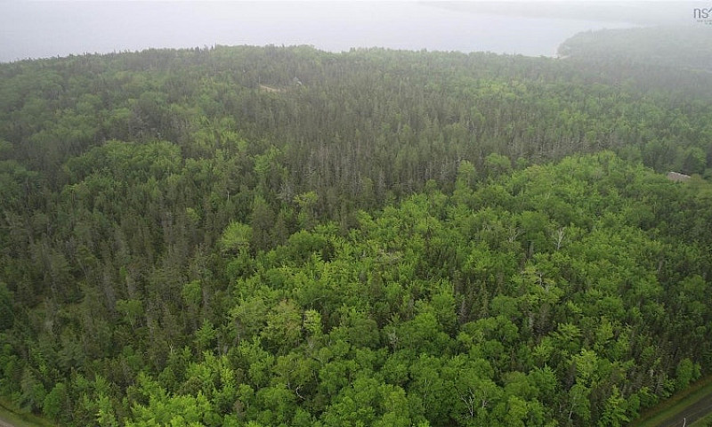 3 Acres With Deeded ...