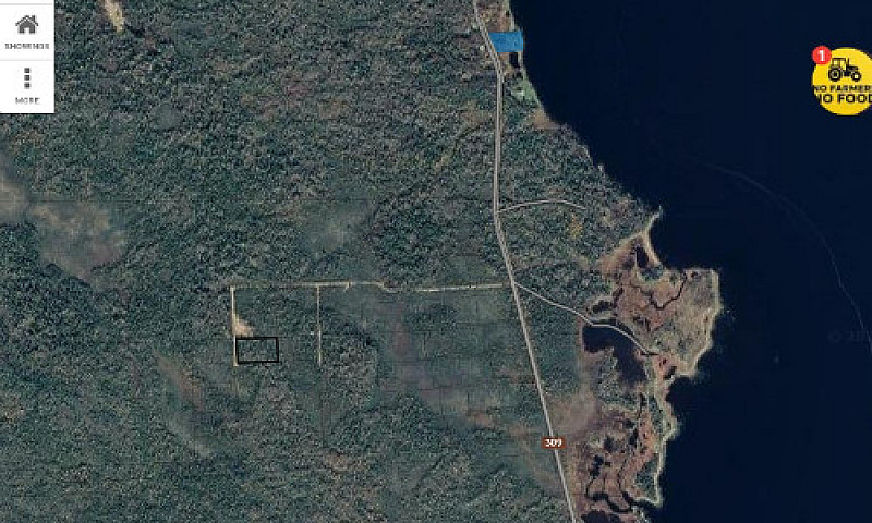 2.5 Acre Surveyed Bu...