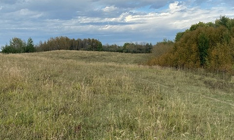 Recreation Land For ...