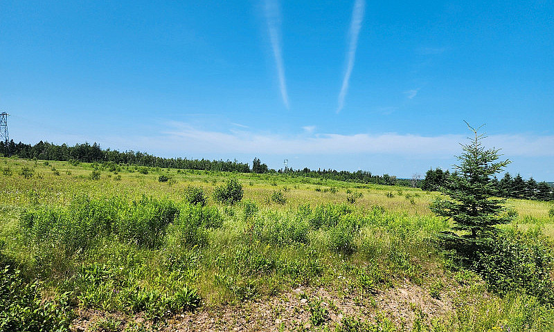 Cleared Lot For Sale...