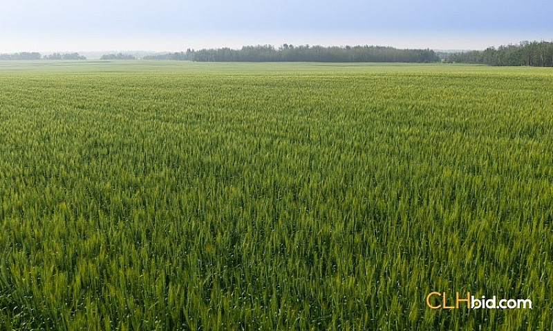 169 Acres Farm Land ...