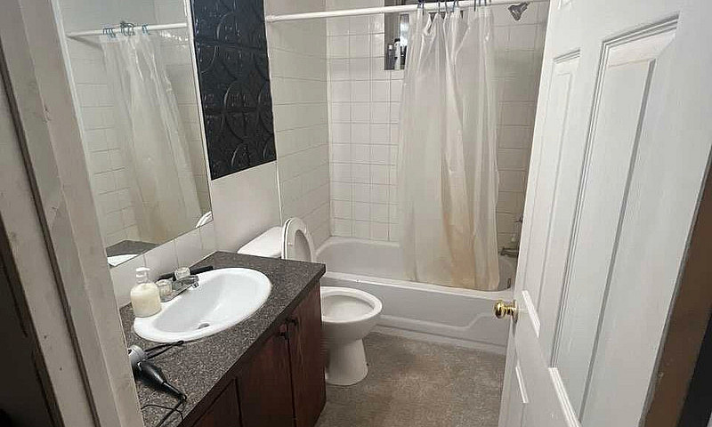 Basement For Rent Sa...
