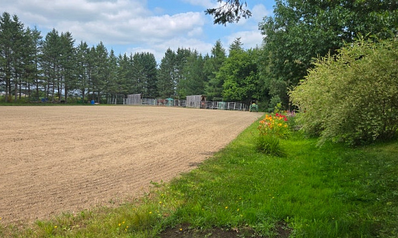 Fermette À Vendre...