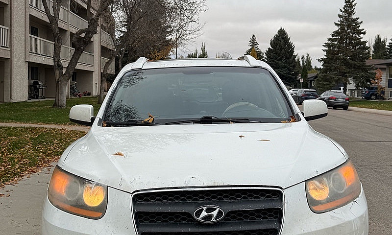 2008 Hyundai Santa F...