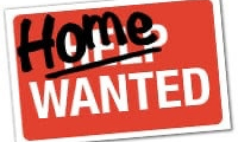 Look For A Home For ...