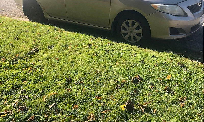 2009 Toyota Corolla ...