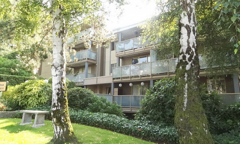 Your Ideal Condo...