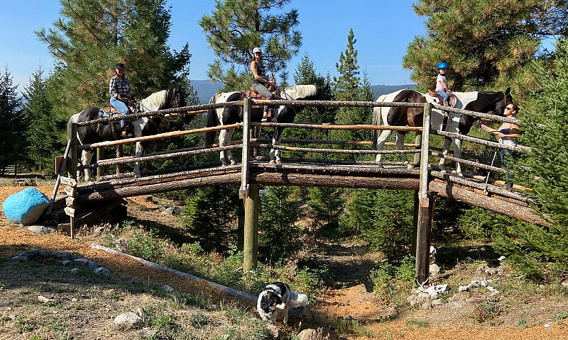 Disneyland For Horse...