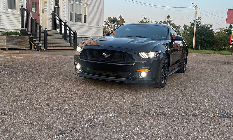 2015 Mustang Gt Pp1 ...