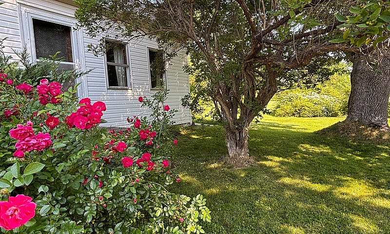 House For Sale...