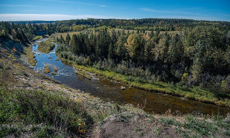 1.25 Acres In Burban...