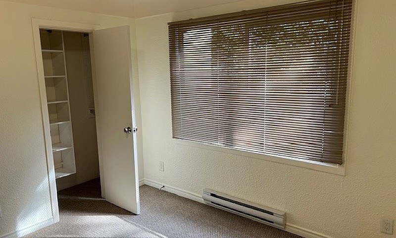 1 Bedroom Suite In O...