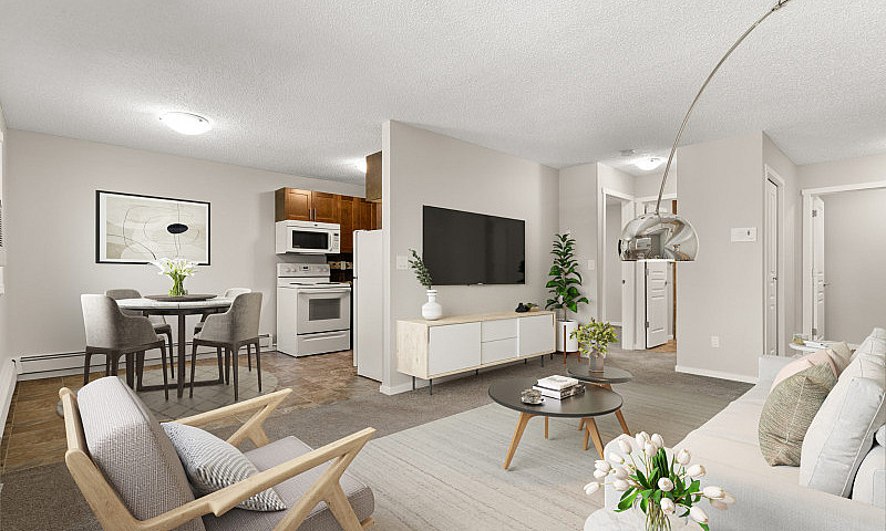 1 Bedroom Apartment ...