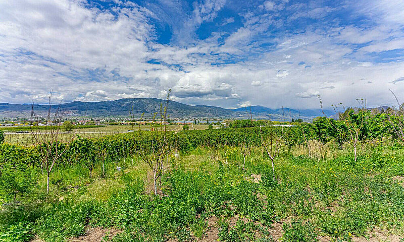 7479 45 St, Osoyoos,...