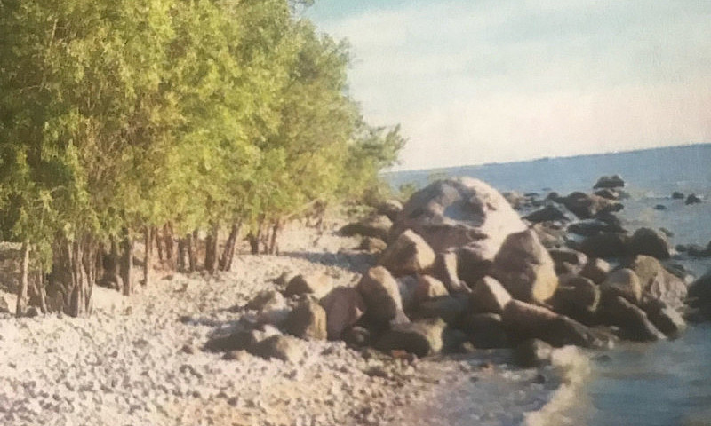 Lake Winnipeg Lake F...