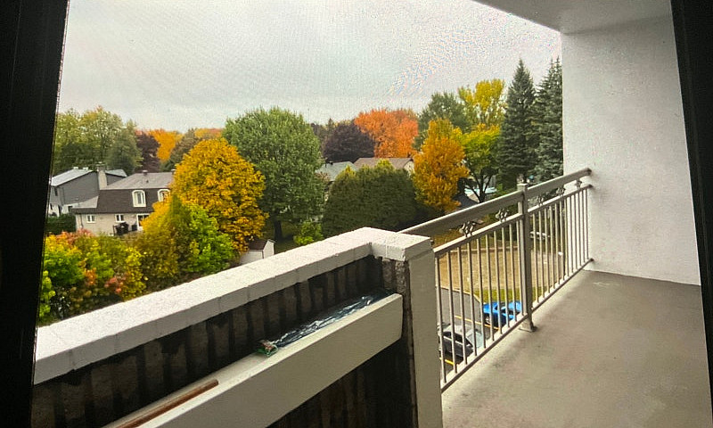 Logement À Louer 3 1...