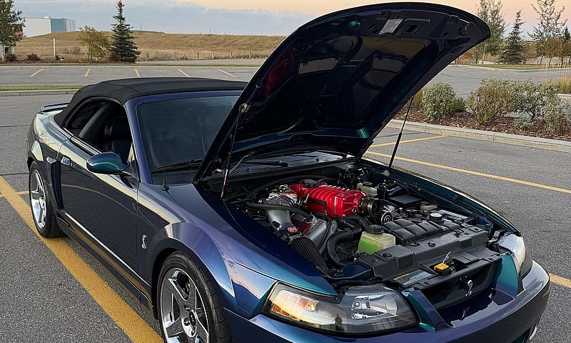 2004 Ford Mustang Co...