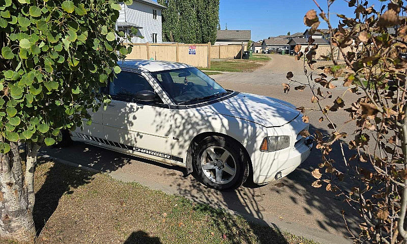 09 Dodge Charger Sxt...