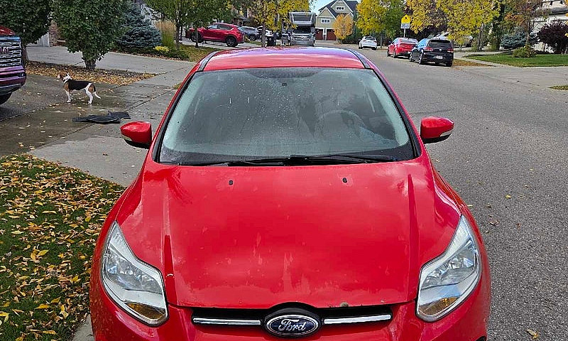 2013 Ford Focus...