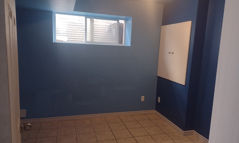 Walkout Basement In ...