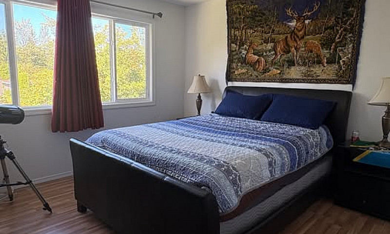 Partly Furnished 4 B...