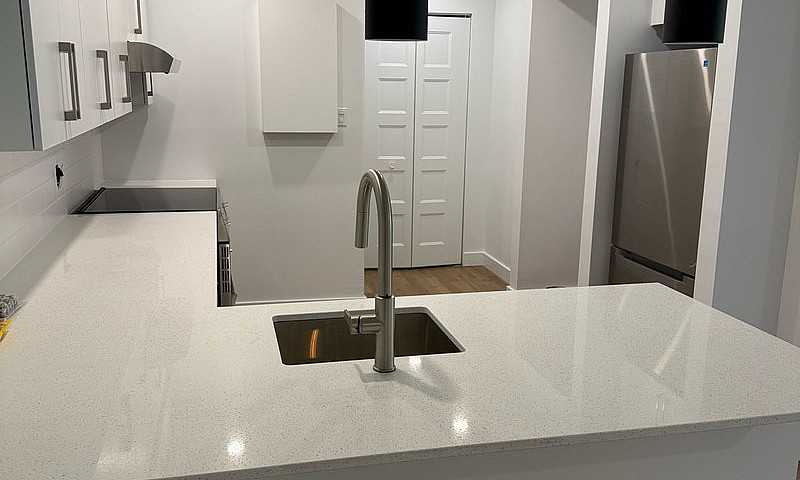 3 1/2 Newly Renovate...