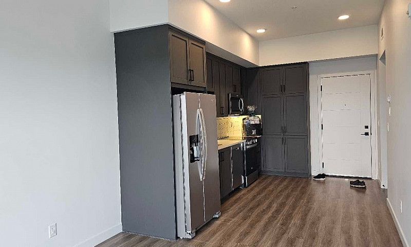 Modern One Bedroom C...