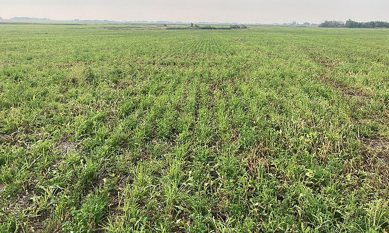Land For Sale...