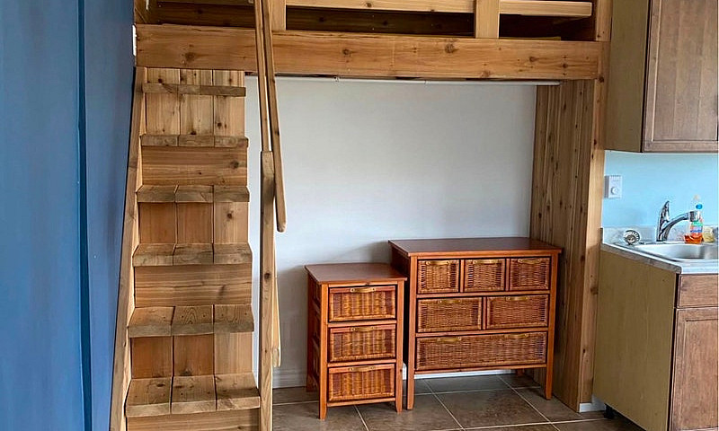 Studio On Horse Farm...