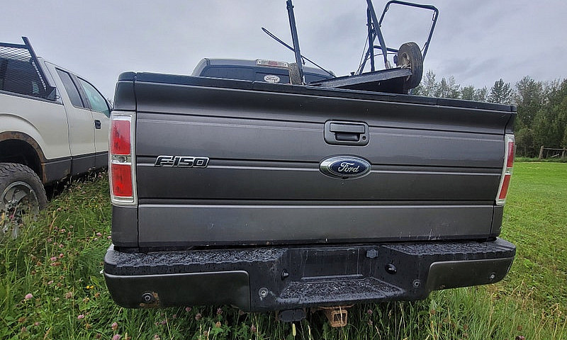 2013 Ford F150 Ecobo...