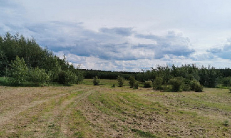 Acreage For Sale...