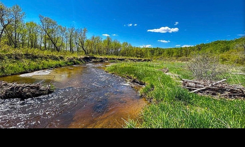 Land Forsale...