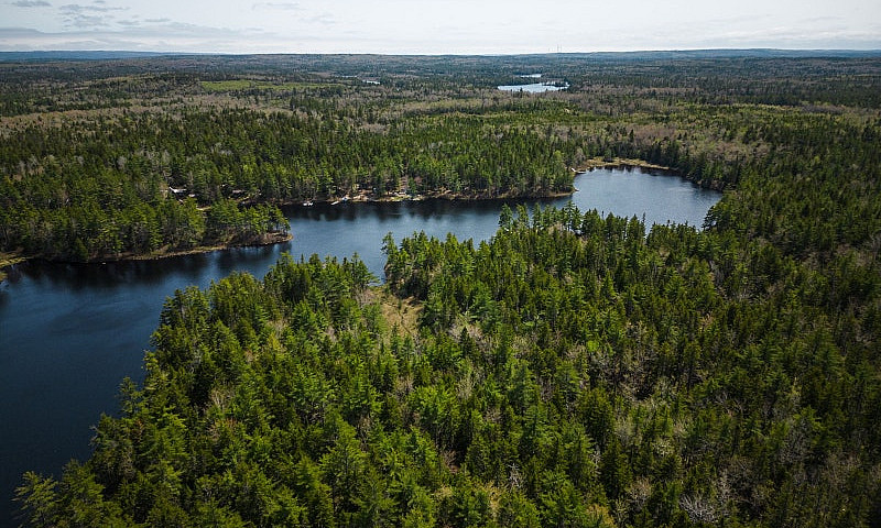 43 Acres Of Land For...
