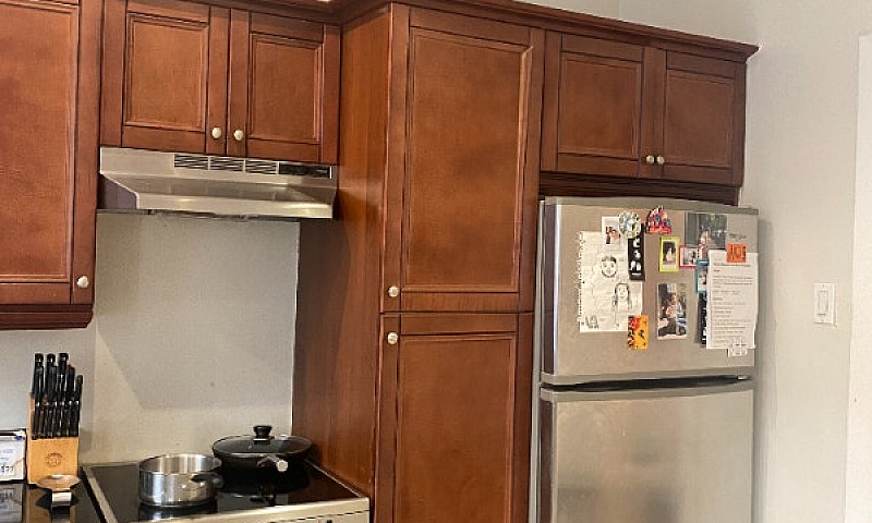 Renovated 4 1/2 In B...