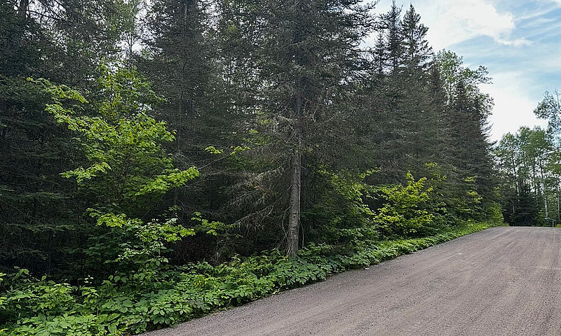 12 Acre Building Lot...