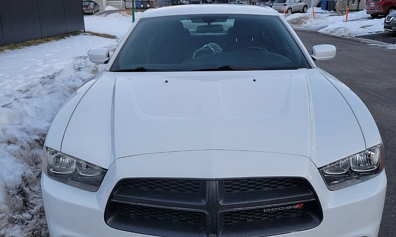 2013 Dodge Charger P...