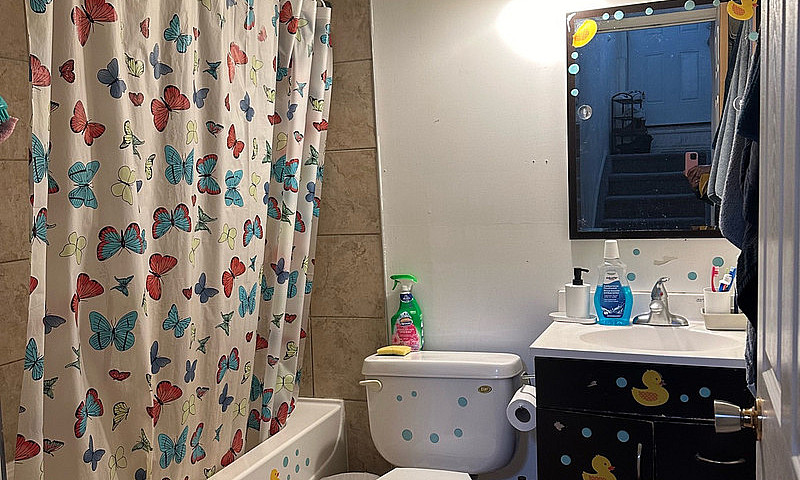 2 Bedroom Basement F...