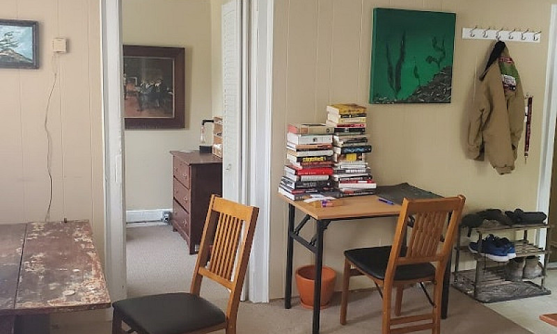 1 Bedroom Apartment ...