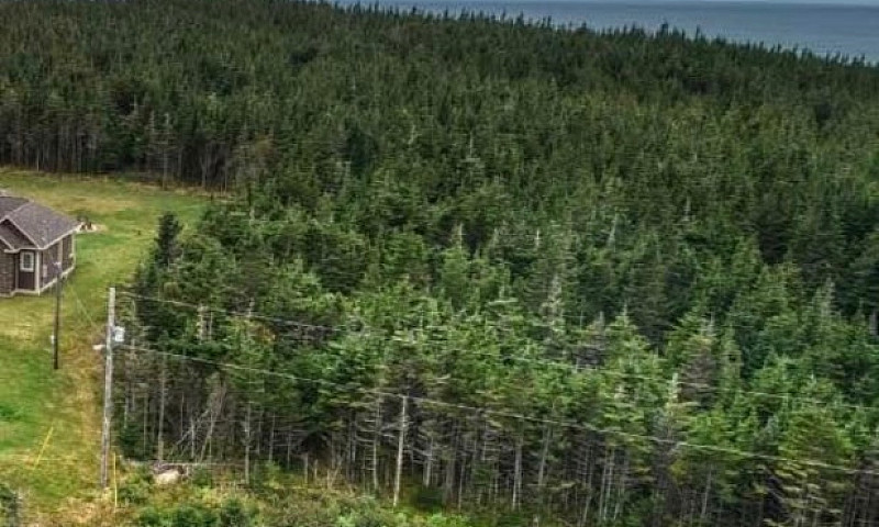Land For Sale...