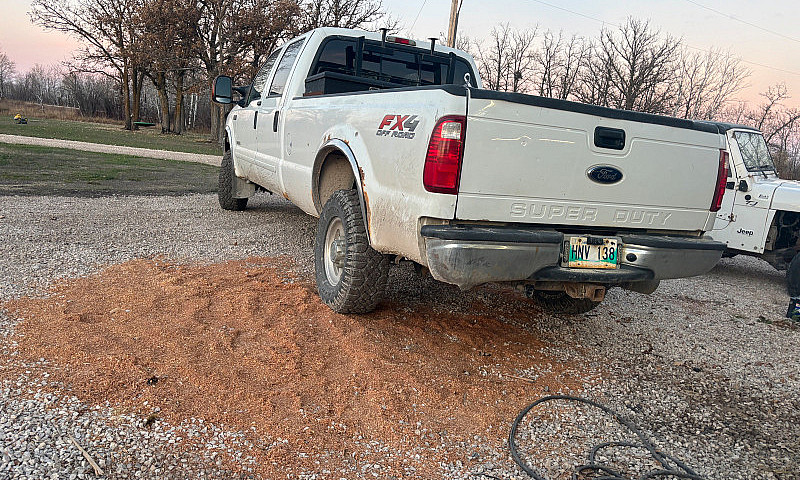 2004 F350 ...