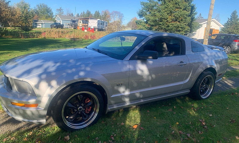 2005 Mustang Gt...