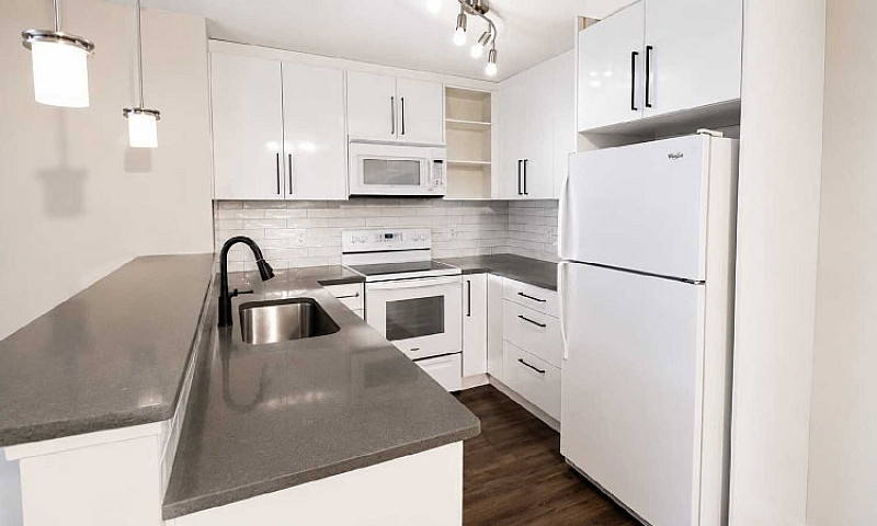 Renting My Beautiful...