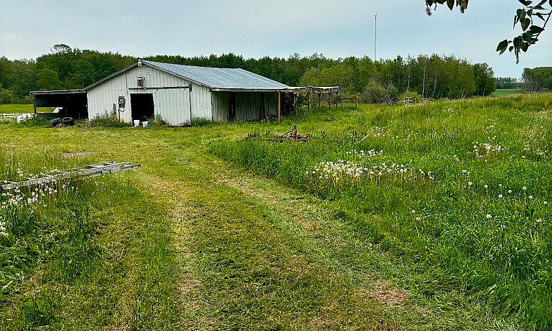 Ne Sask Acreage-  Fa...