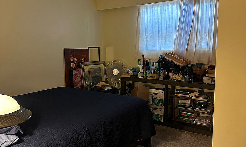 1 Bed 1 Bath Apartme...