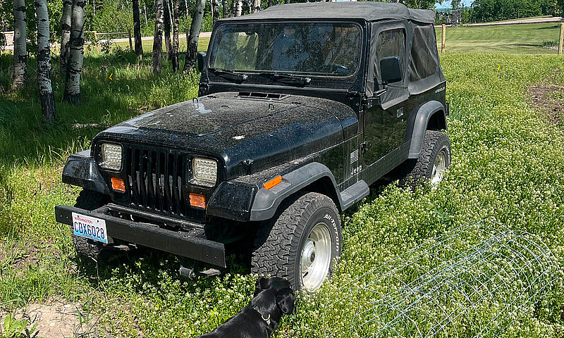 1994 Jeep Wrangler Y...