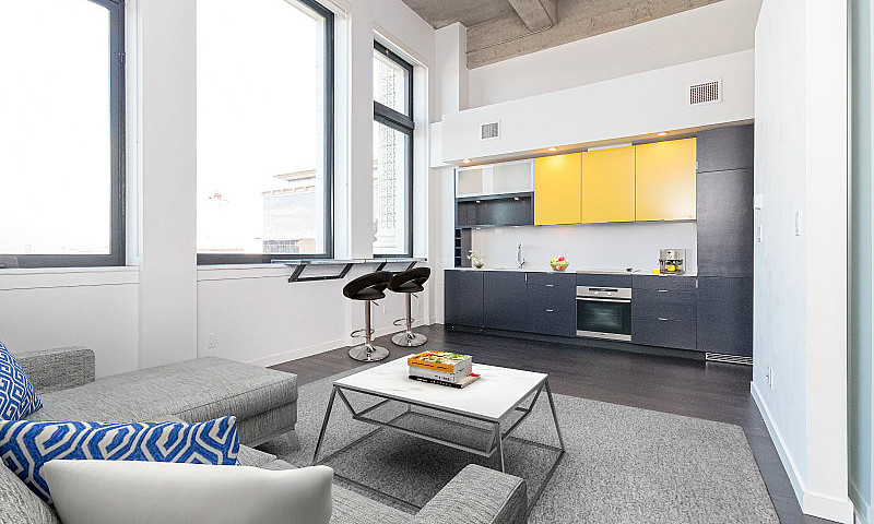 Contemporary New Stu...