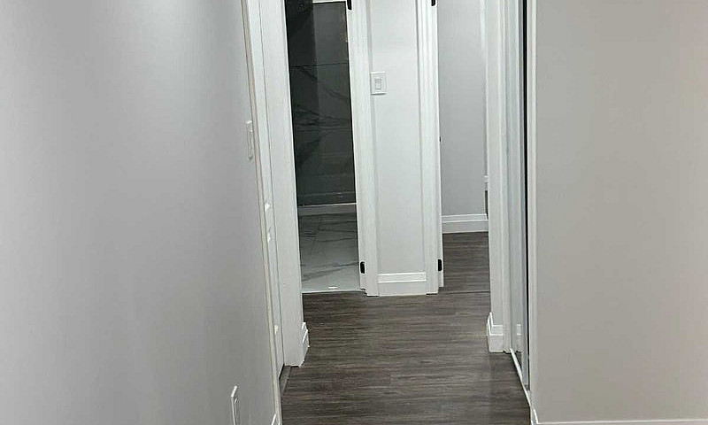 3 Bathroom Basement ...