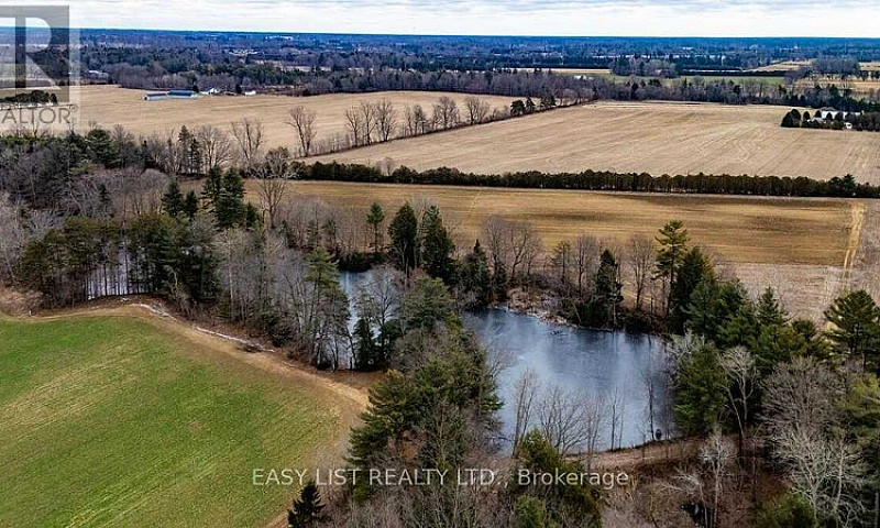 49.25-Acre Agricultu...