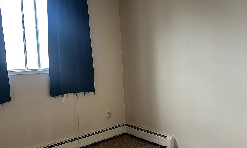 Huge 900 Sq Ft Main ...